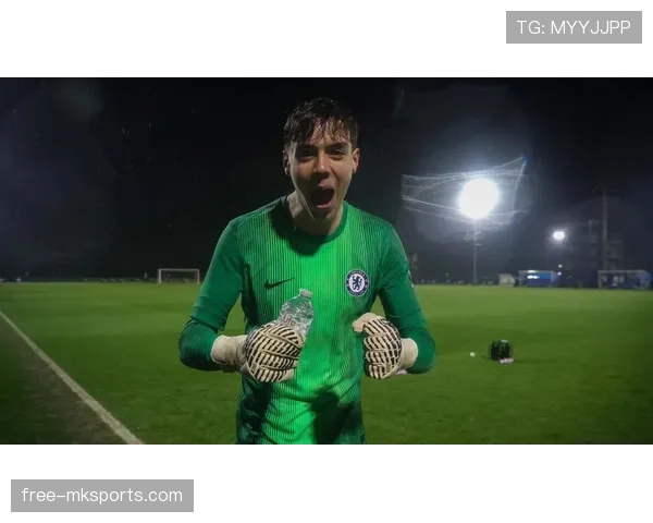 欧洲U19锦标赛与青年欧冠赛事格局及竞争力分析